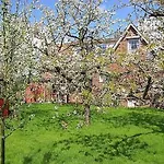 Knubberhaus - Im Kirschenhain * Steinkirchen (Lower-Saxony)