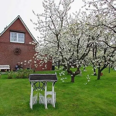 Lägenhet Knubberhaus Im Kirs