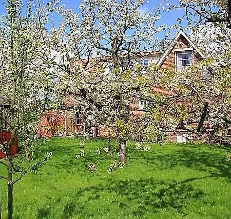 Knubberhaus Im Kirs * Steinkirchen (Lower-Saxony)