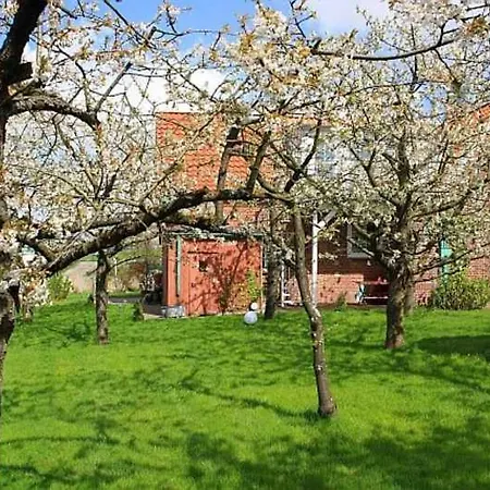 Knubberhaus Im Kirs *